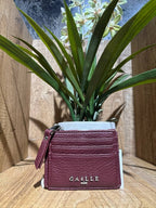 CARD HOLDER VISERION