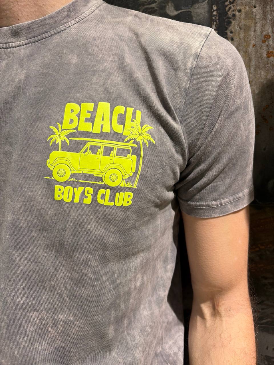 T-SHIRT BEACH BOYS