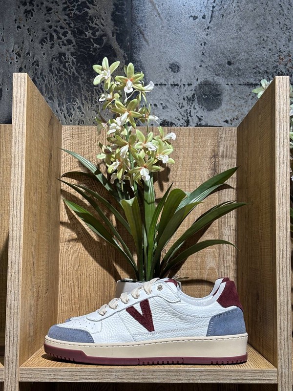 Sneakers college bicolor