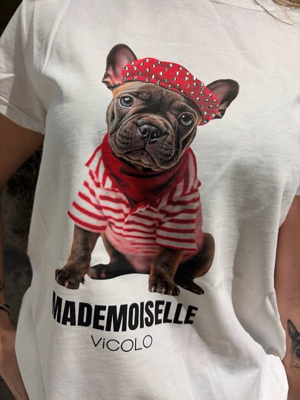 Tshirt dog glitter