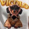 T-shirt bassotto